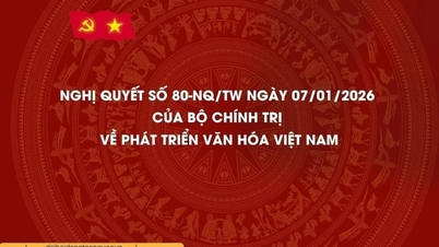 El Ministerio de Cultura, Deportes y Turismo ha publicado un Programa de Acción para implementar la Resolución del XIV Congreso Nacional del Partido y la Resolución Nº 80 del Politburó sobre el desarrollo de la cultura vietnamita.