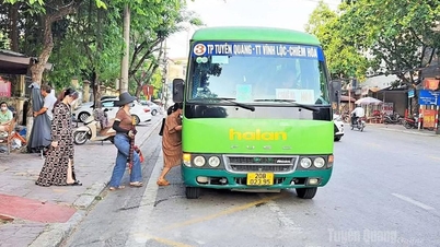 Trends in choosing public transportation