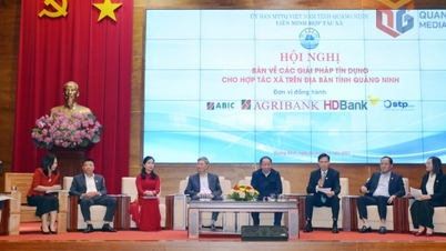 Las cooperativas prósperas se convertirán en una nueva fuerza motriz para la economía colectiva de Quang Ninh.