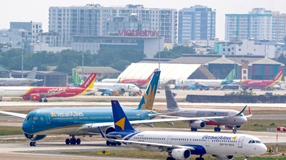 Which domestic flights are suspended starting today?