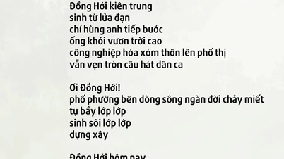 ডং হোই
