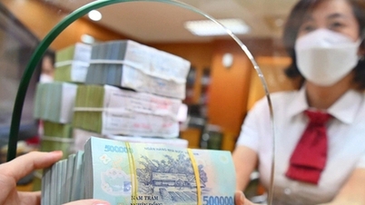 ارتفع إجمالي رأس المال الذي حشدته المؤسسات الائتمانية في مدينة هو تشي منه بنسبة 13.92%.