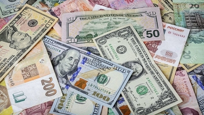 Morning of April 2nd: The central exchange rate increased by 2 dong.