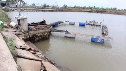Xã Vĩnh Am hoàn thành cải tạo 250 ha ao, đầm nuôi trồng thủy sản