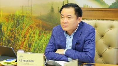 A Petrovietnam név egységesítése: az irányítási követelményektől a konkrét intézkedésekig a teljes rendszerben.