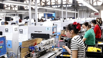 Un pilar fundamental para la resolución de los problemas laborales de los trabajadores.