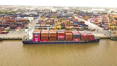 Küresel darboğazdan stratejik avantaja: Vietnam için yeni fırsatlar