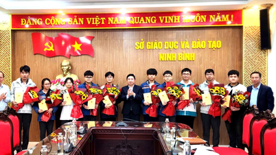 Három diákot választottak be Ninh Binh tartományból a 2026-os olimpiai csapatba.