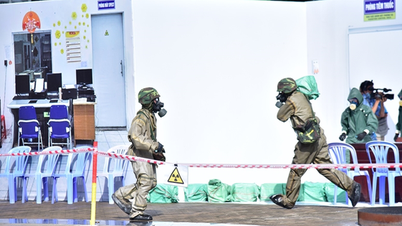 Implementar un enfoque integral y eficaz para la gestión de la seguridad radiológica y nuclear.