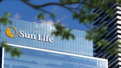 Sun Life Vietnam memegang pangsa pasar yang besar dalam asuransi pensiun sukarela.