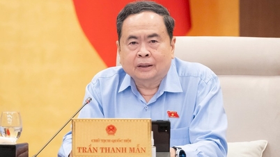 Giám sát ngay an toàn thực phẩm sau vụ 300 tấn heo bệnh vào trường học