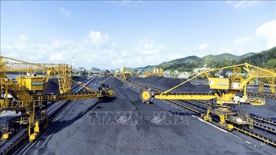 Coal industry responds to cost pressures, maintains stable production in the first quarter.