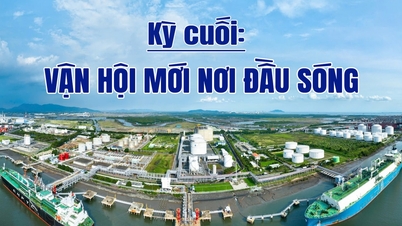 Pasos decisivos para el megaproyecto de la central eléctrica nacional de GNL de Quỳnh Lập - Parte final: Nuevas oportunidades en primer plano