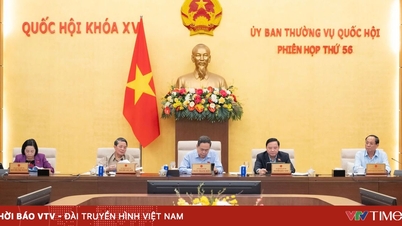 Numerous improvements and innovations have been made in the methods of organizing and managing supervisory activities.