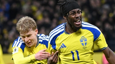 Sweden's World Cup qualification "rubbed in the wounds" of Italy.