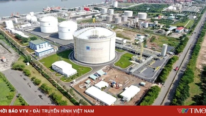Importurile de GNL din Asia au scăzut brusc, cea mai mare scădere din 2022.