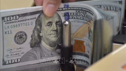 Foreign central banks have drastically reduced their holdings of US Treasury bonds.