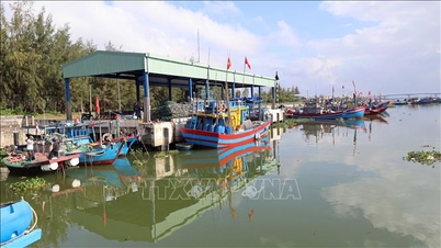 Responding to information from VNA: Hong Trieu fishing port will soon have a management and operation unit.