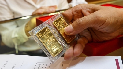 Die Goldpreise im Inland sind um bis zu 1,2 Millionen VND pro Tael gefallen.