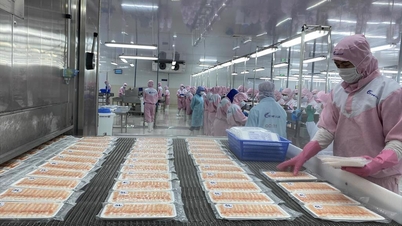 Departamentul de Import-Export a emis noi îndrumări privind înregistrarea unităților de producție alimentară care importă alimente în temeiul Ordinului 280.