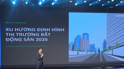 Land plots are being phased out, apartments are taking center stage: The real estate market is entering a harsh cleansing process.