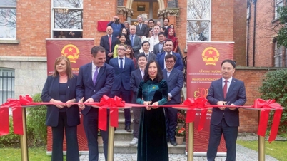Vietnam-Irland: En kraftfull omvandling