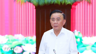 Dans le cadre de la première phase du rapport de suivi soumis au Comité permanent du Comité du Parti de la ville de Da Nang.