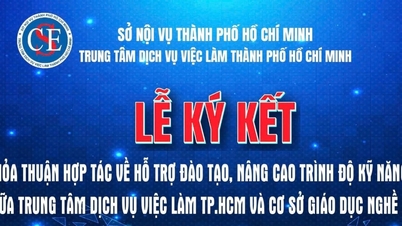 Ho Chi Minh Şehri: İşsizlik maaşı alan çalışanlar için mesleki eğitim bağlantılarını genişletmek.