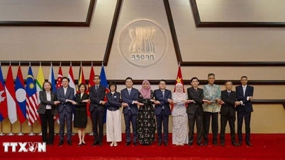 De economische en handelsamenwerking tussen China en de ASEAN-landen heeft een solide basis.