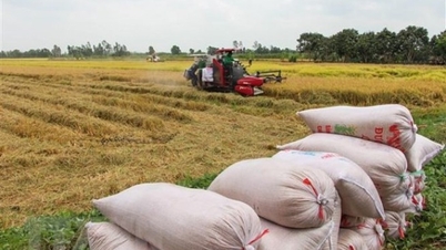 東南アジアにおける食料安全保障のための解決策