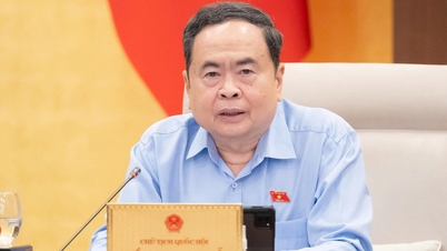 Speaker of the National Assembly: Immediate monitoring of food safety after the incident involving 300 tons of diseased pork.