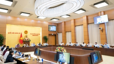 Review, unify, and streamline the content and agenda of the first session of the National Assembly.