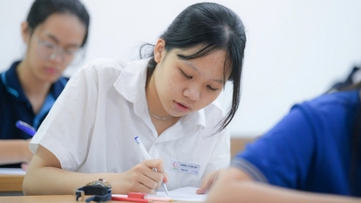 Hanoi surveys the quality of 12th-grade students: Math scores concentrated in the 3-5 point range.