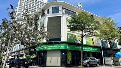 The police are investigating the case of IALC Vietnam English Center closing down without refunding tuition fees.