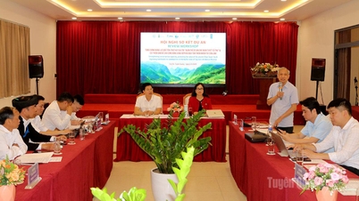 Bengkel ulasan projek untuk memelihara dan mempromosikan nilai kompleks warisan teh Shan Tuyet purba.