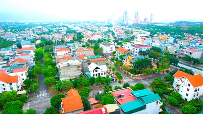 The total value of products in Nhi Chieu ward in the first quarter is estimated at over 4,800 billion VND.