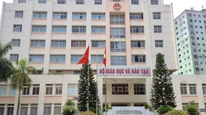 Eğitim ve Öğretim Bakanlığı, Vekil Bakan ve Bakan Yardımcılarının görev dağılımını düzenler ve tamamlar.