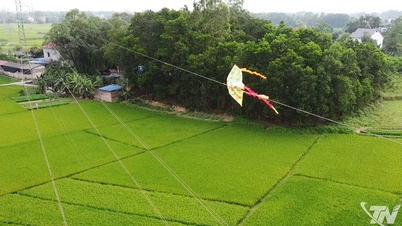 Berikan sanksi tegas terhadap tindakan menerbangkan layang-layang yang melanggar koridor aman jaringan listrik.