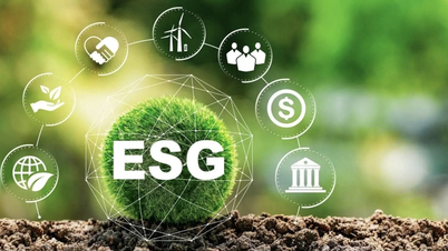 ESG معیارات کے فریم ورک کا پہلی مرتبہ قیام سبز منصوبوں کے لیے ترجیحی فنڈنگ ​​کی راہ ہموار کرتا ہے۔