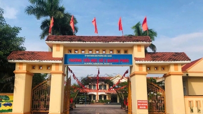 The principal of a primary school in Quang Tri has been temporarily suspended pending an investigation into alleged contract manipulation.
