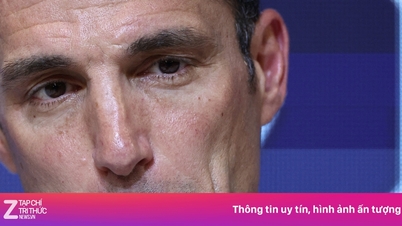 Скалони выразил сожаление по поводу того, что Италия не попала на чемпионат мира: «Аргентина тоже очень расстроена».