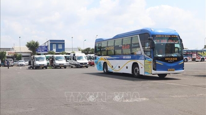 Transport businesses respond to fluctuating fuel prices.
