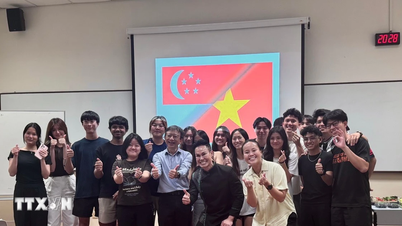 The echoes of Vietnamese history in Singapore foster understanding and connection.