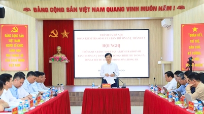 The conference adopted the draft report on the inspection results of the Standing Committee of the Party Committee, the Secretary of the Party Committee, and the Chairman of the People's Committee of Hong Ha Ward.