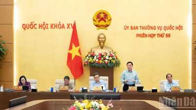 The Standing Committee of the National Assembly adopted a Resolution on the comprehensive review of the system of legal normative documents.