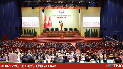 Seven key legislative tasks to implement the Resolution of the 14th National Congress of the Party.
