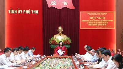 Tijdens de eerste fase van het monitoringsrapport over het Permanent Comité van het Provinciale Partijcomité van Phu Tho.