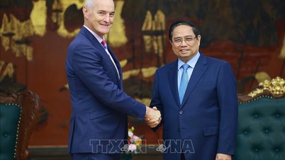 El primer ministro Pham Minh Chinh recibe al director de la Universidad RMIT de Australia.