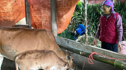 Lao Cai menyerukan dukungan untuk Dana "Untuk Kaum Miskin" pada tahun 2026.