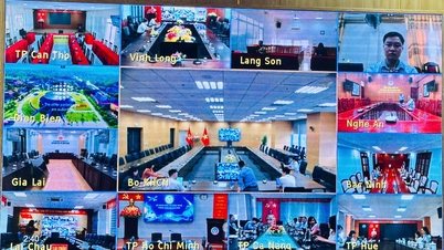 Training for local system administrators to assist in resolving difficulties and obstacles related to the Ministry of Science and Technology's administrative procedures information system.